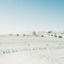 snow in countryside