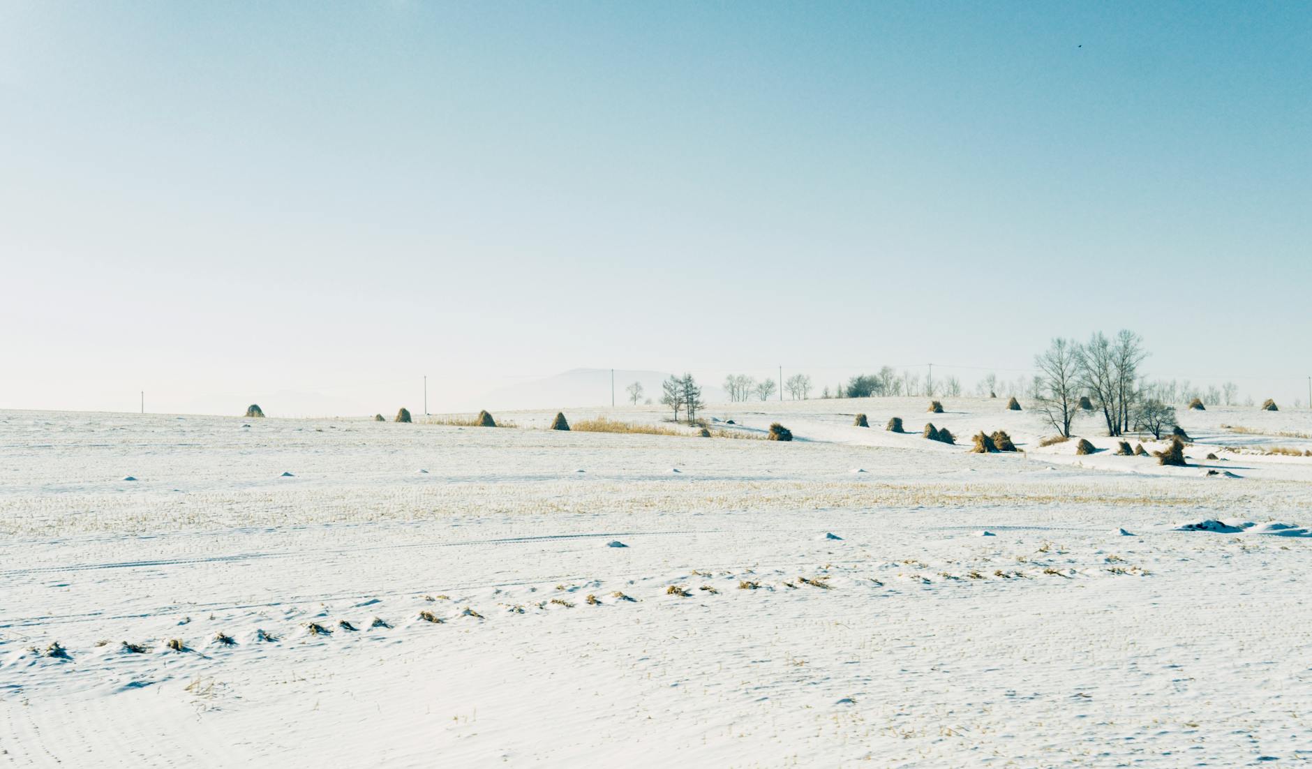 snow in countryside