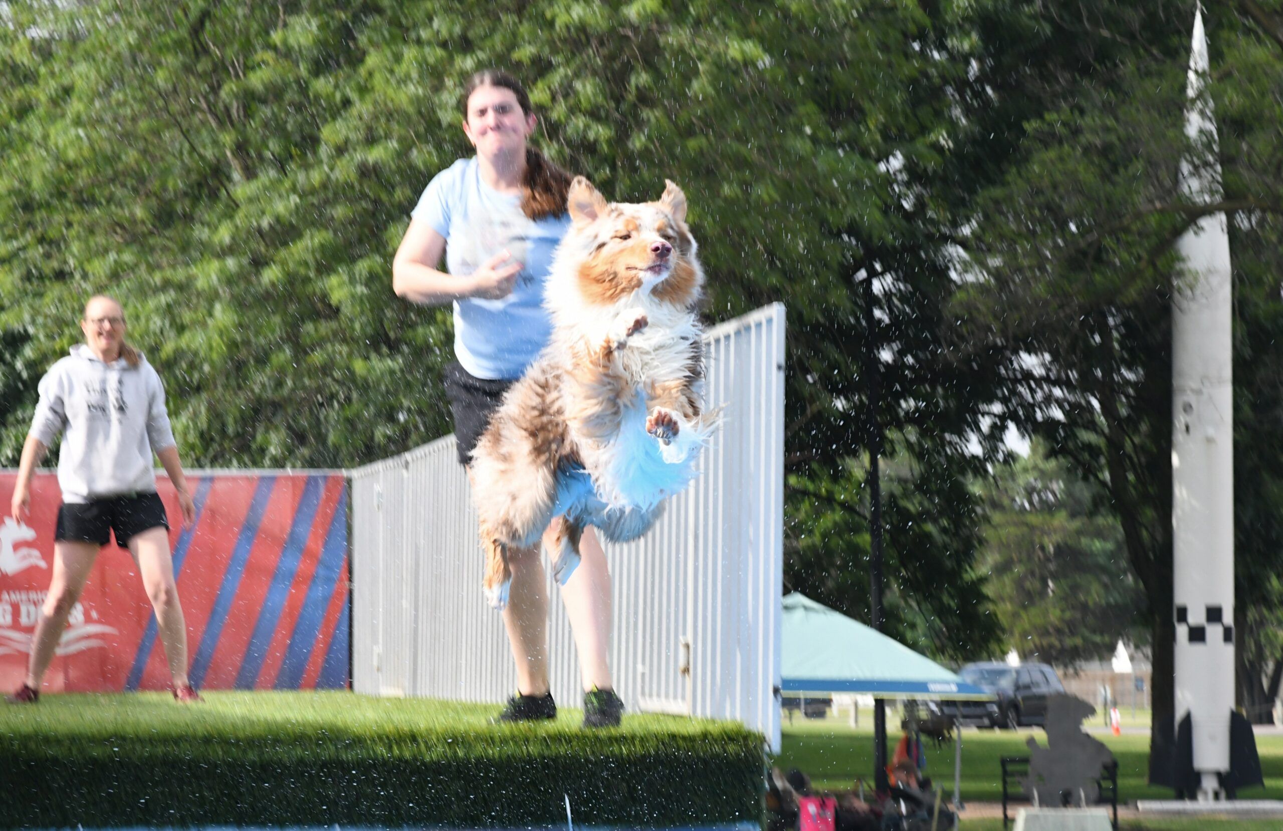 Dog show returns to fairgrounds – The Hutchinson Tribune